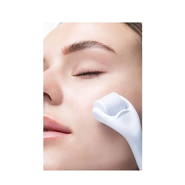 Roler Derma Sa Mikro Iglicama Za Negu Kože| BRUSHWORKS | Kozmo Online