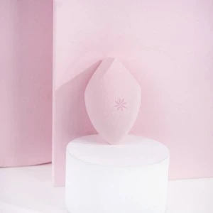 Sunđer za precizno blendovanje Brushworks HD Definer