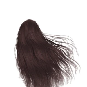 Farba za kosu INIMITABLE COLOR 100ml 4 Chestnut  