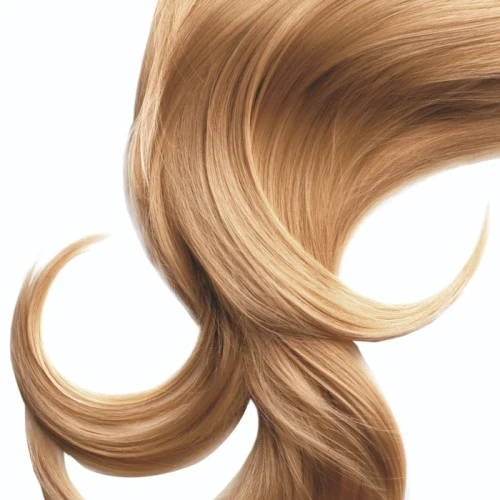 Farba za kosu Keen Strok 100ml 8.31 Golden Ash Light Blonde