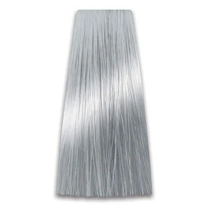 Srebrno sivi toner COLORART PROSALON - 100g Srebrno sivi toner COLORART PROSALON - 100g