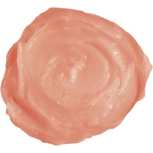 Balzam i sjaj za usne breskva - JOKO PURE ECHINACEA LIP BALB