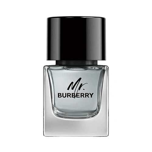 Burberry Mr. Burberry Muški Parfem Edt 50ml