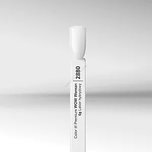 Color IT Premium Trajni gel lak za nokte UV/LED - 2880 6g 