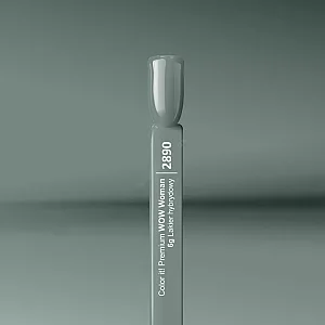 Color IT Premium Trajni gel lak za nokte UV/LED - 2890 6g 