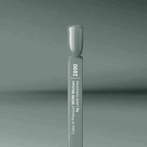 Color IT Premium Trajni gel lak za nokte UV/LED - 2890 6g 