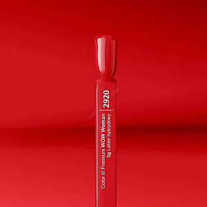 Color IT Premium Trajni gel lak za nokte UV/LED - 2920 6g 