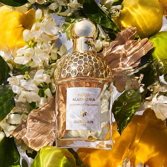 Guerlain Aqua Allegoria Bergamote Calabria Edt za žene | Guerlain | Kozmo - 3346470143845