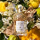 Guerlain Aqua Allegoria Bergamote Calabria Edt za žene | Guerlain | Kozmo - 3346470143845