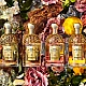 Guerlain Aqua Allegoria Forte Rosa Palisandro Edp za žene | Guerlain | Kozmo - 3346470147423 Guerlain Aqua Allegoria Forte Rosa Palisandro Edp za žene | Guerlain | Kozmo - 3346470147423