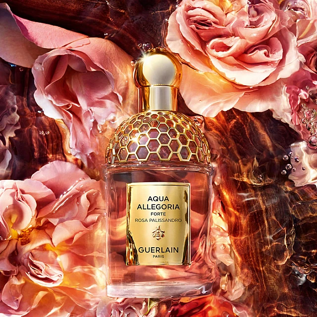 Guerlain Aqua Allegoria Forte Rosa Palisandro Edp za žene | Guerlain | Kozmo - 3346470147423 Guerlain Aqua Allegoria Forte Rosa Palisandro Edp za žene | Guerlain | Kozmo - 3346470147423