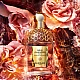 Guerlain Aqua Allegoria Forte Rosa Palisandro Edp za žene | Guerlain | Kozmo - 3346470147423 Guerlain Aqua Allegoria Forte Rosa Palisandro Edp za žene | Guerlain | Kozmo - 3346470147423