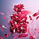 Lancome La Vie Est Belle Intensement Edp za žene | Lancome | Kozmo - 3614272992054