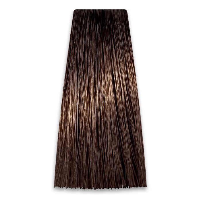 Farba za Kosu COLORART 17/13 PROSALON | Farbe i Kolor Šamponi | Boja i Nega Kose | Kozmo Shop Online