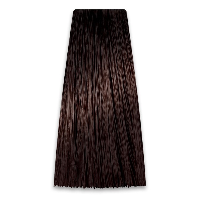 Farba za Kosu COLORART 6/B1  PROSALON | Farbe i Kolor Šamponi | Boja i Nega Kose | Kozmo Shop Online