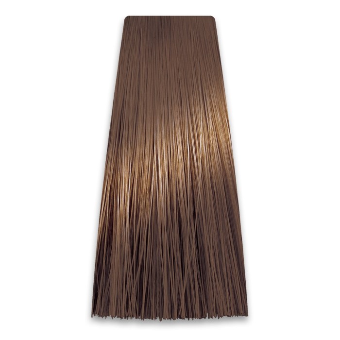 Farba za Kosu COLORART 8/13 PROSALON | Farbe i Kolor Šamponi | Boja i Nega Kose | Kozmo Shop Online