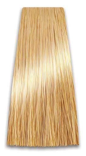 Farba za kosu COLORART - Jako zlatno svetlo plava 9/33 100g | CHANTAL PROSALON Professional | Kozmo