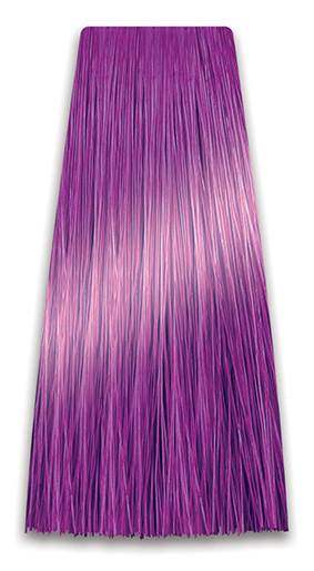 Ljubičasti toner COLORART PROSALON - 100g | CHANTAL PROSALON Professional | Kozmo