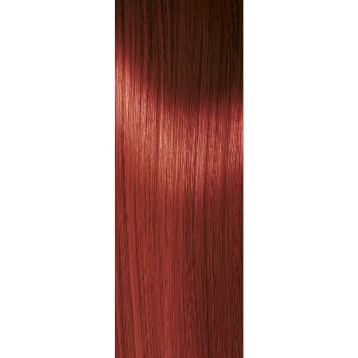 Kolor Šamponi za Kosu CAMELEO 6.65 | Farba za Kosu Bez Amonijaka | Kozmo Shop Online