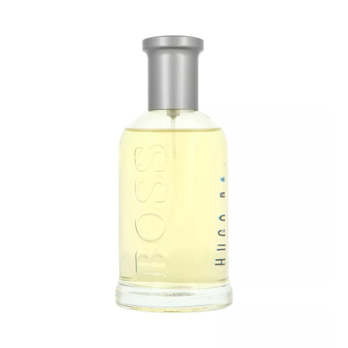 Hugo Boss Bottled Muški Parfem Edt 200ml – 737052189765 – Kozmo