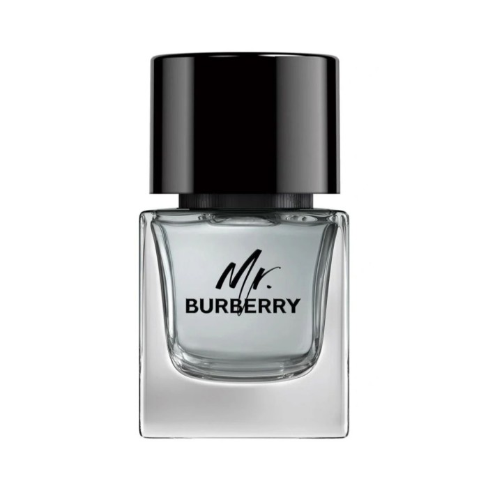 Burberry Mr. Burberry Muški Parfem Edt 50ml – 5045456747654 – Kozmo