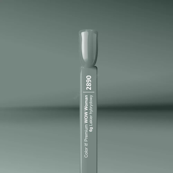 Color IT Trajni gel lak za nokte UV/LED - 5902560520811   6gr | SILCARE | KOZMO